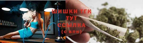 стаф Тутаев