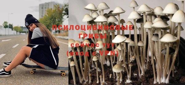 СК Покров