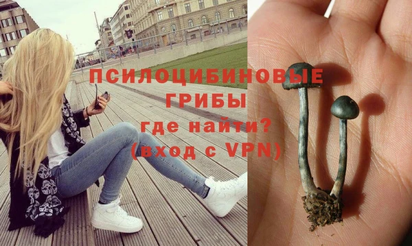 стафф Верея