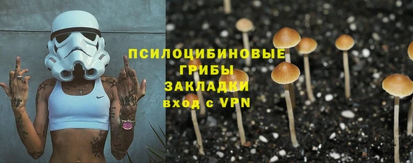 крисы Покровск