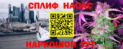 гидра Заводоуковск
