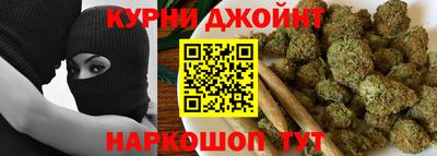 гидра Заводоуковск