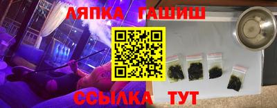 гидра Заводоуковск