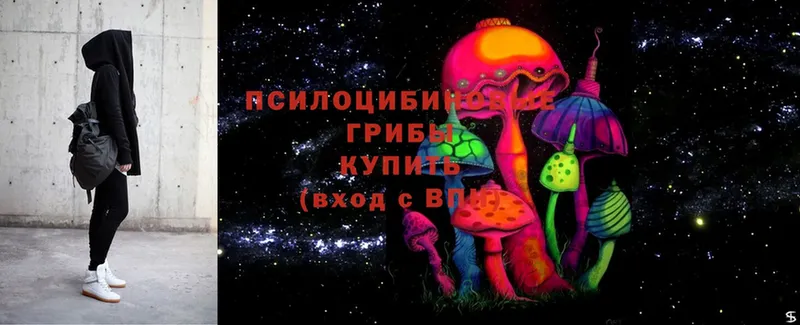 Галлюциногенные грибы Magic Shrooms Новороссийск