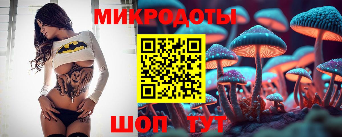 Галлюциногенные грибы ЛСД  Вход с VPN  Галлюциногенные грибы мицелий  Новороссийск 